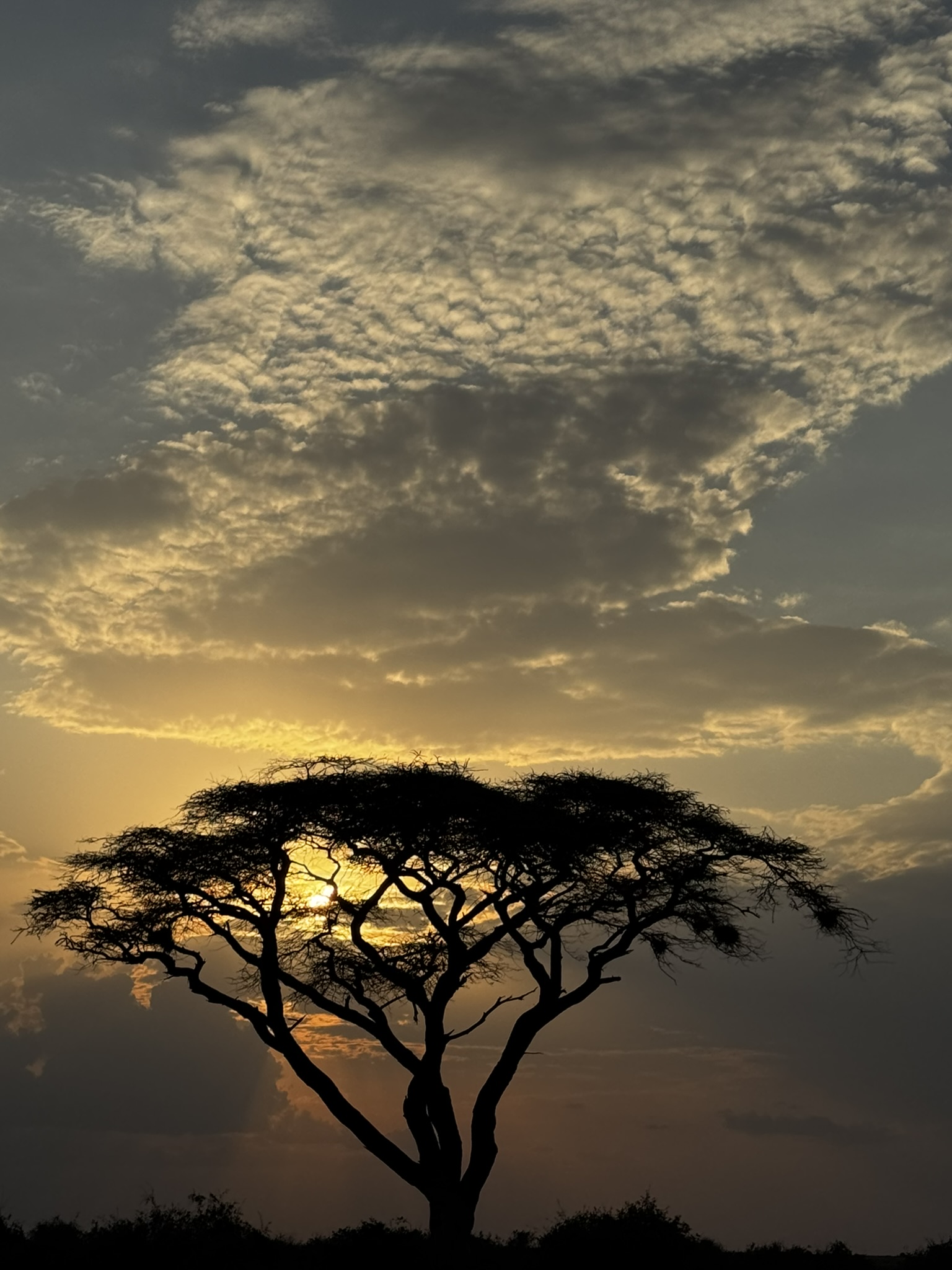 East Africa in November, December & the New Year: A Season Worth Discovering