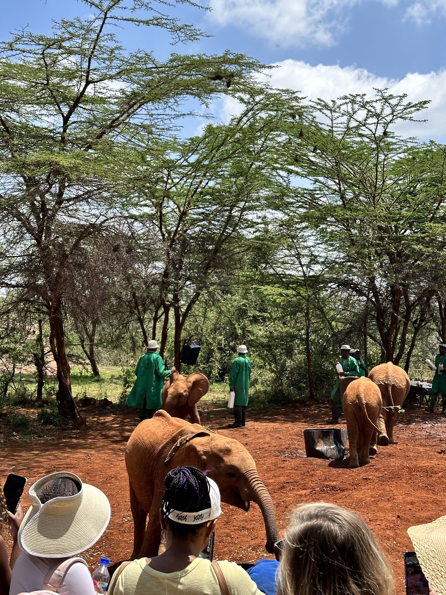 10-Day Ultimate Africa Family Safari — photo 2