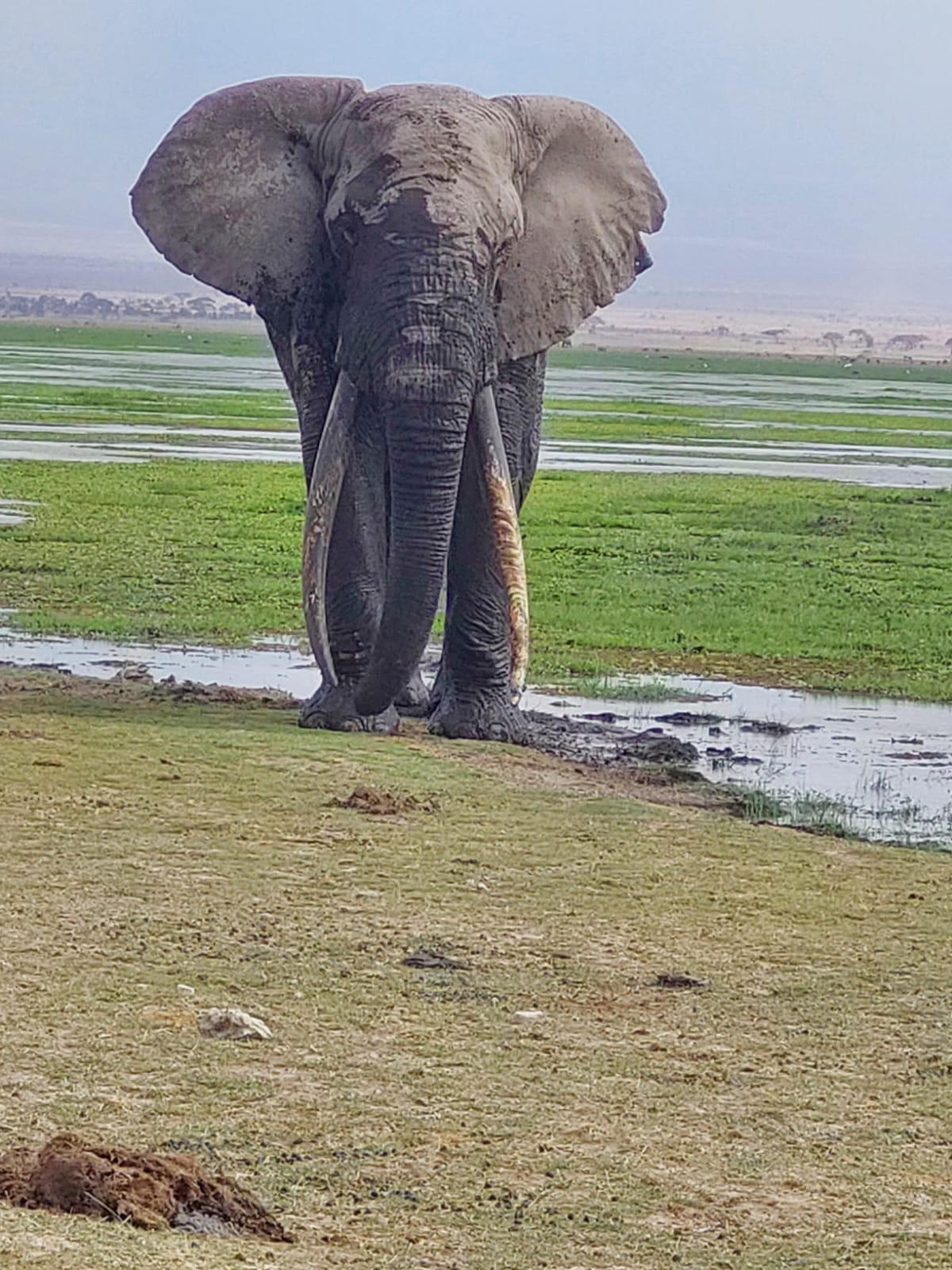 10-Day Ultimate Africa Family Safari — photo 3