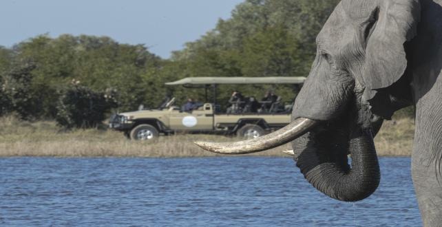 Lewa Conservancy