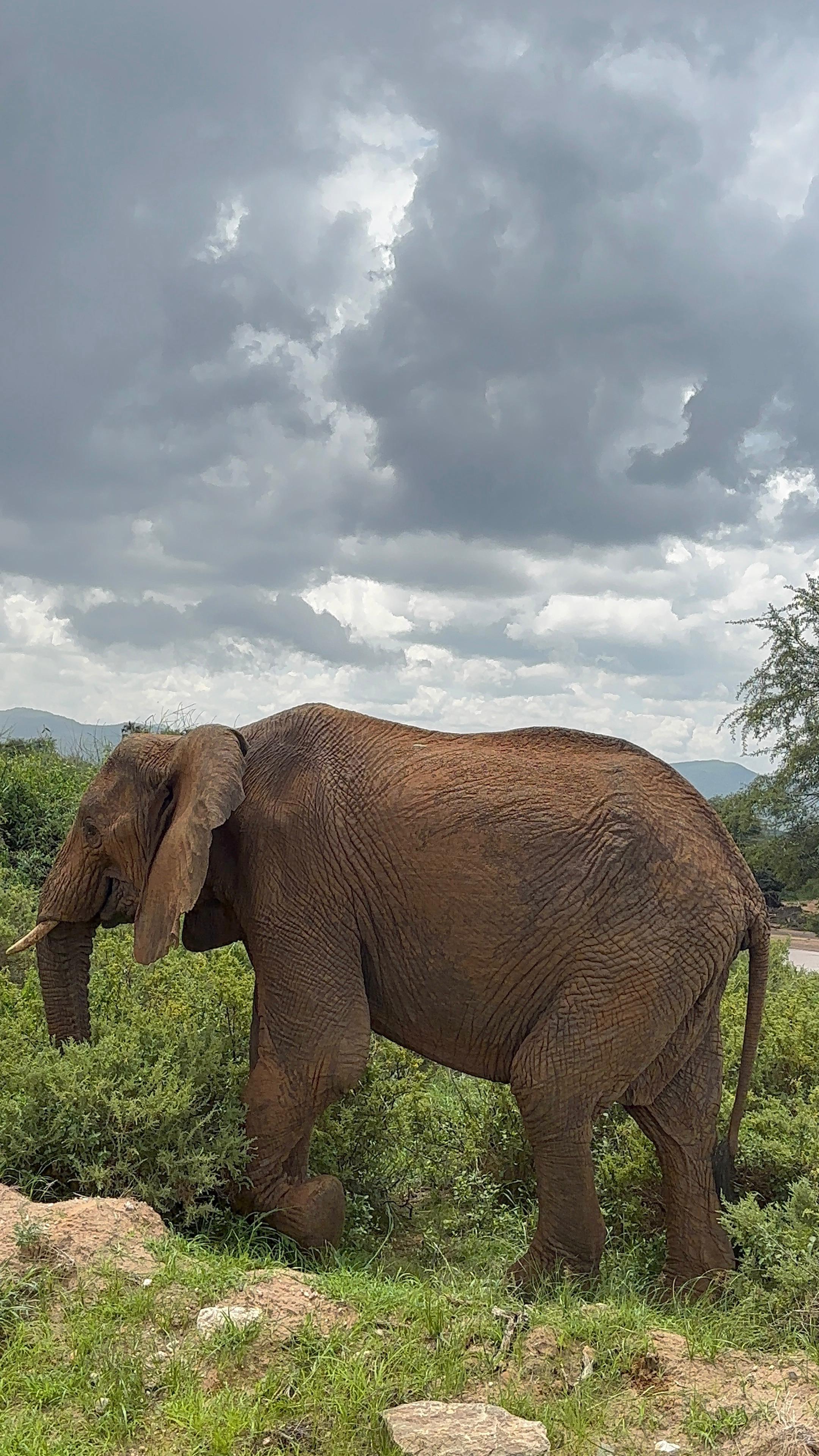 Serengeti, Tanzania