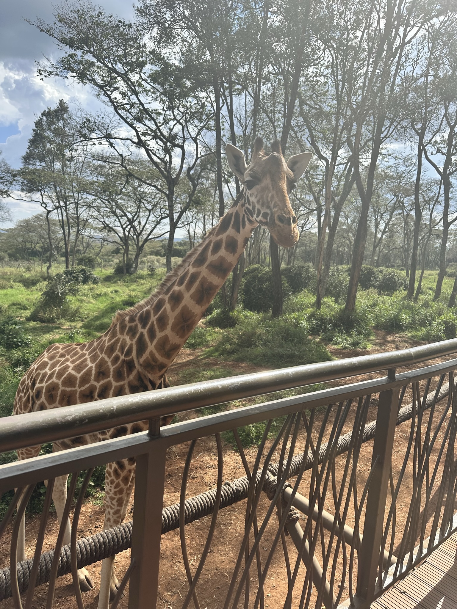 10-Day Ultimate Africa Family Safari — photography