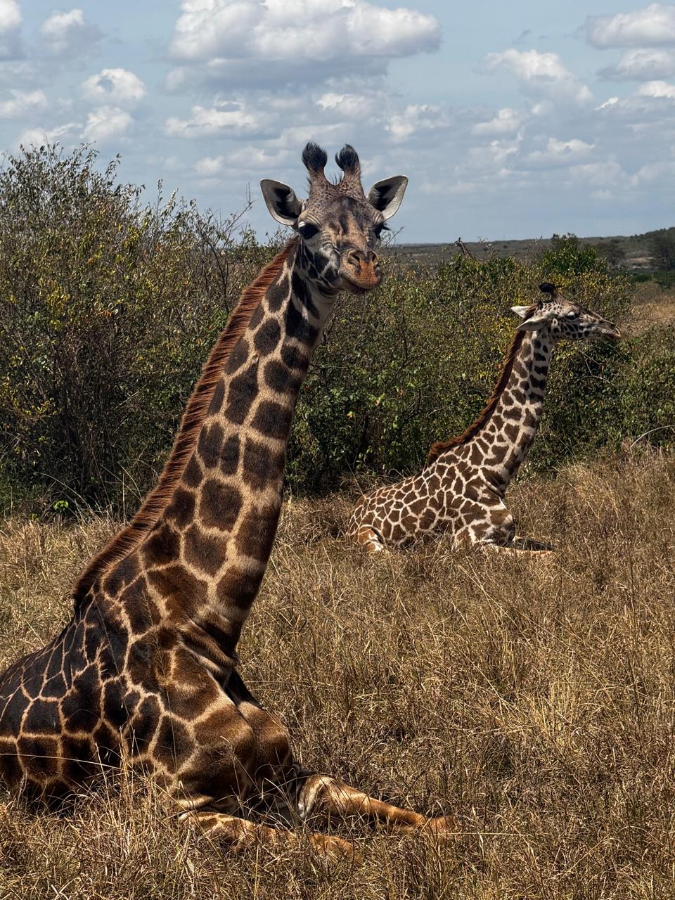 East Africa in November, December & the New Year: A Season Worth Discovering