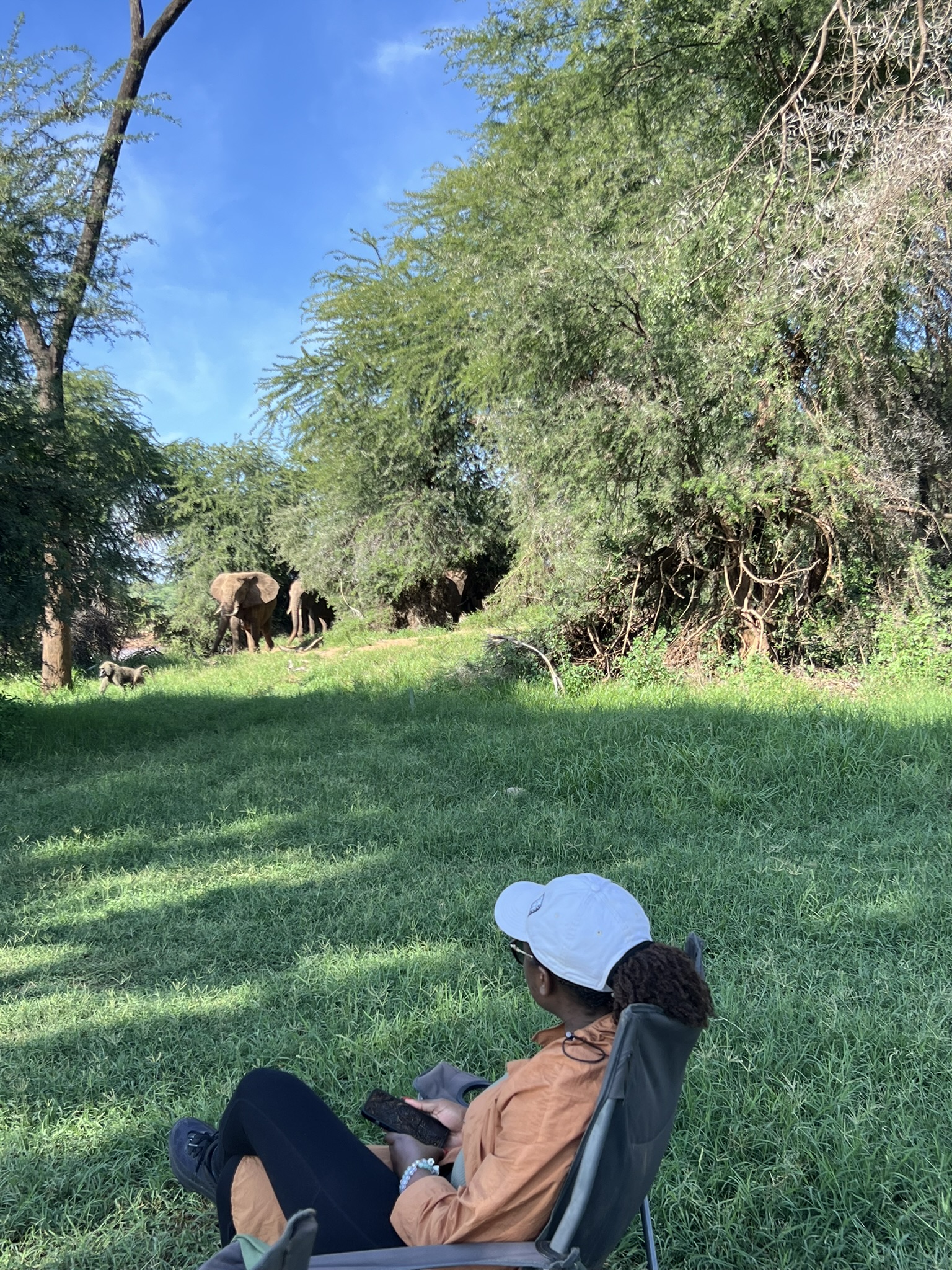 10 Days of Kenya Safari & Diani Beach