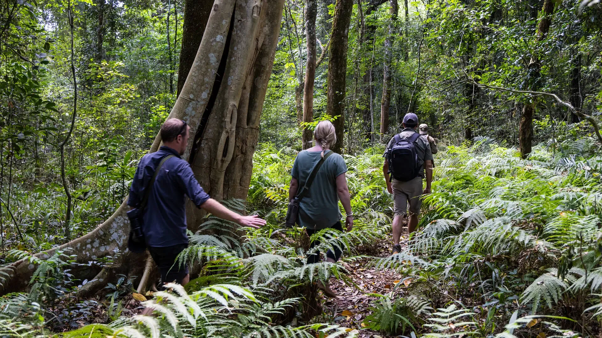 6 Days Rwanda Primate Adventure Safari — photo 4