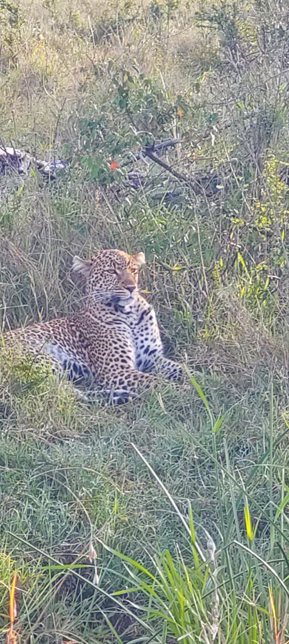 7-Day Maasai Mara Safari — photo 4