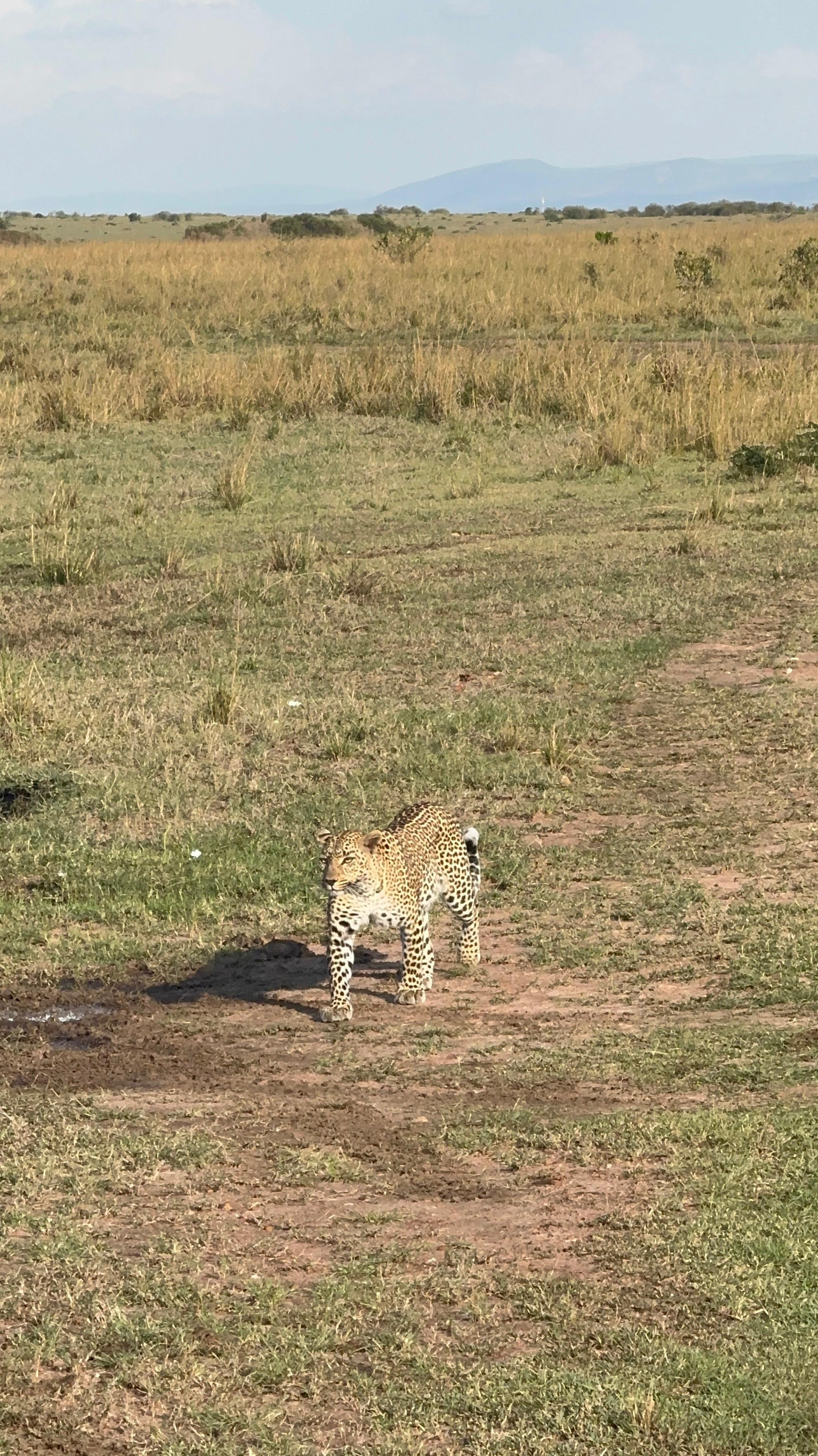7-Day Maasai Mara Safari