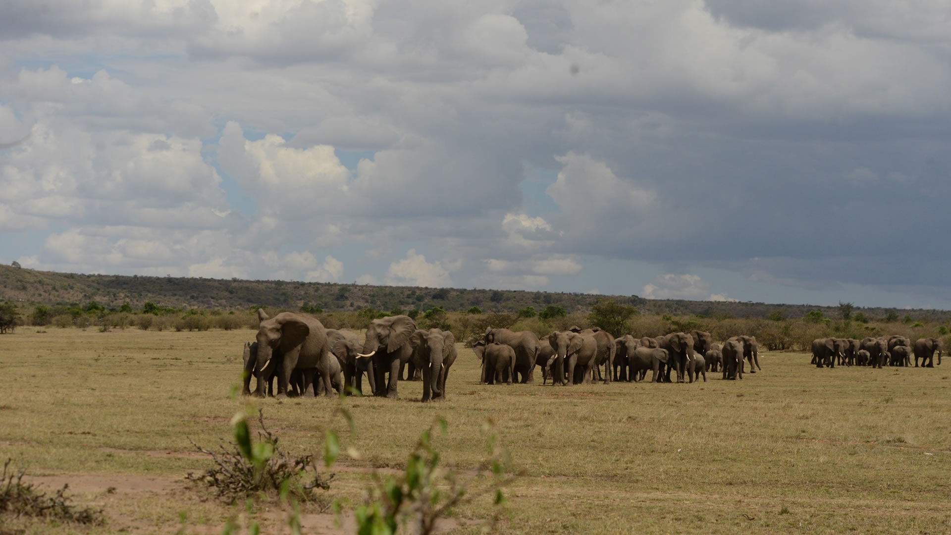 10 Days Kenya Private Safari