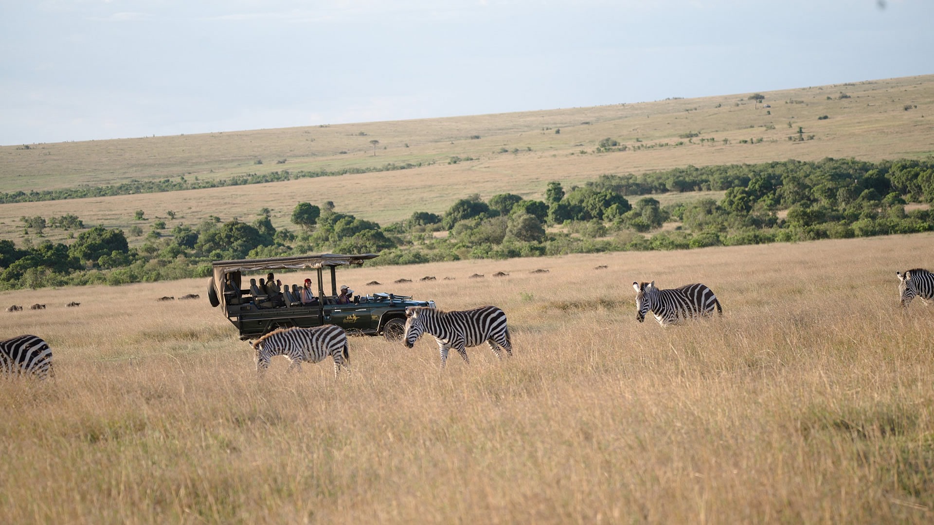 Kenya Wildlife Adventure Safari
