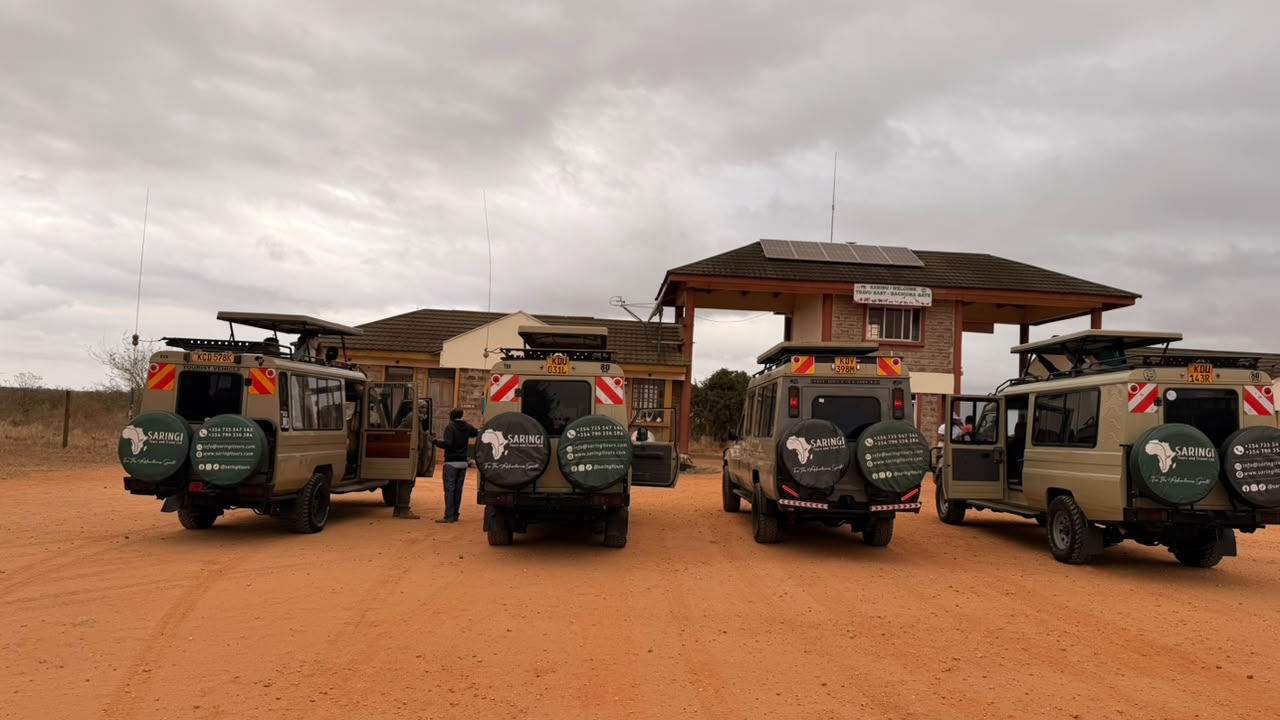 Saringi Tours fleet of branded Land Cruiser safari vehicles