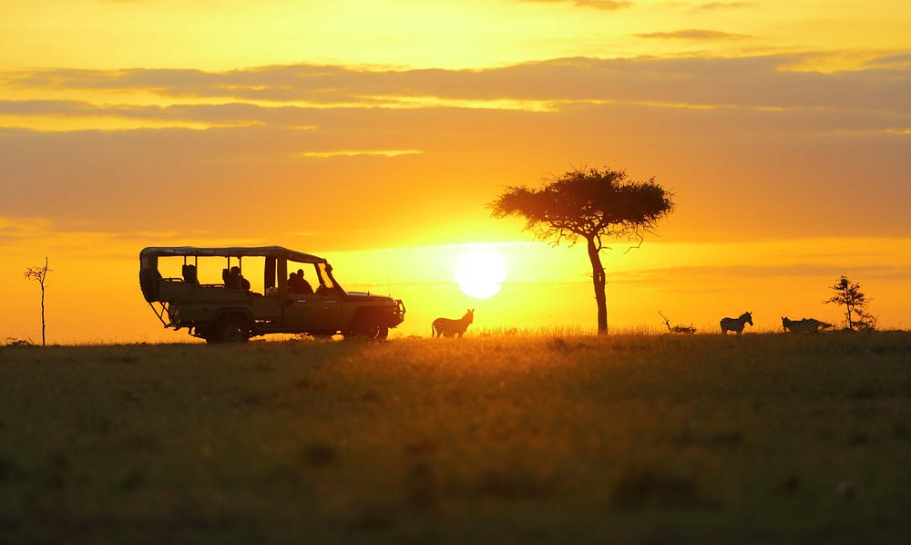 8-Day Kenya & Tanzania Safari — photography