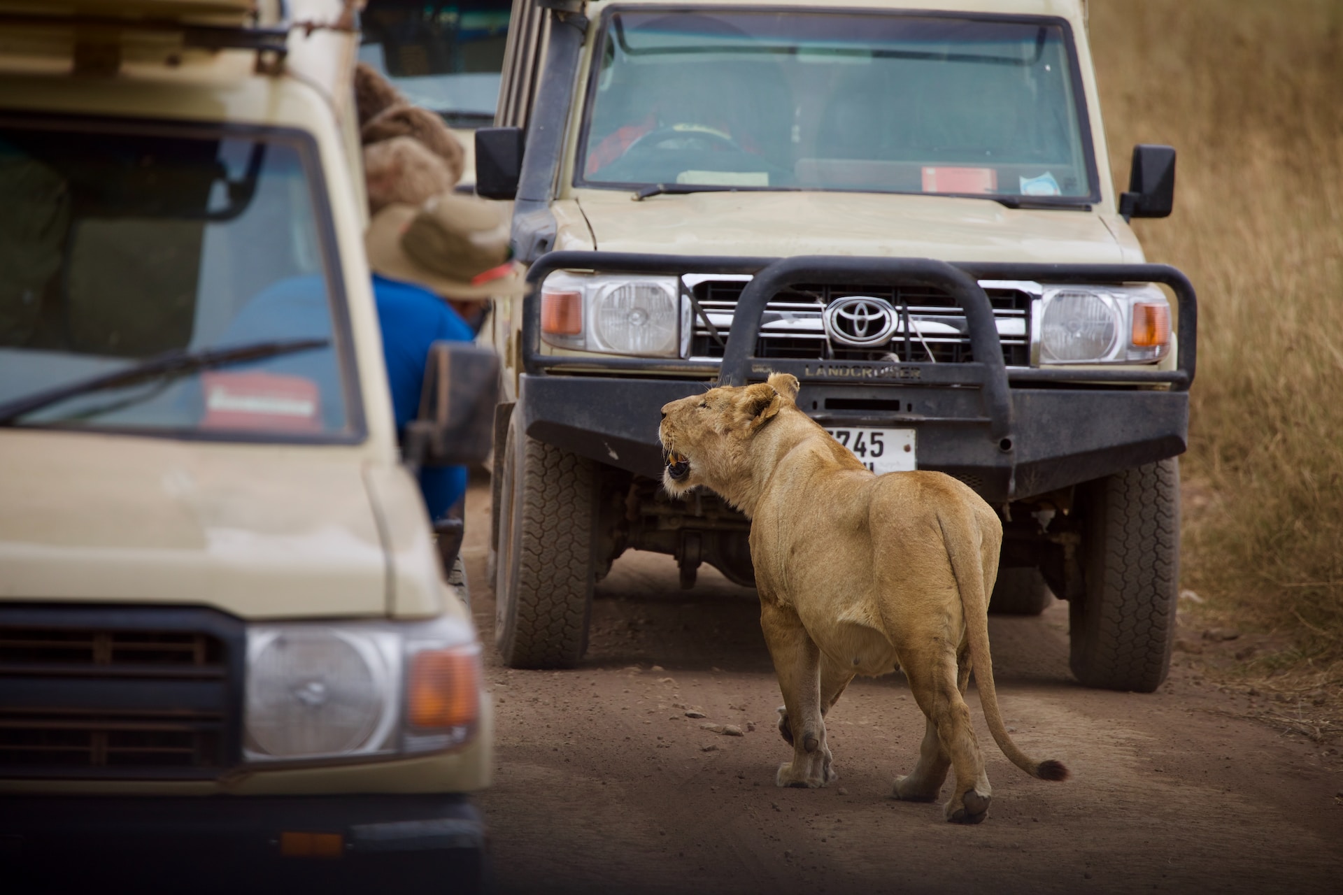 Tanzania Safari and Beach