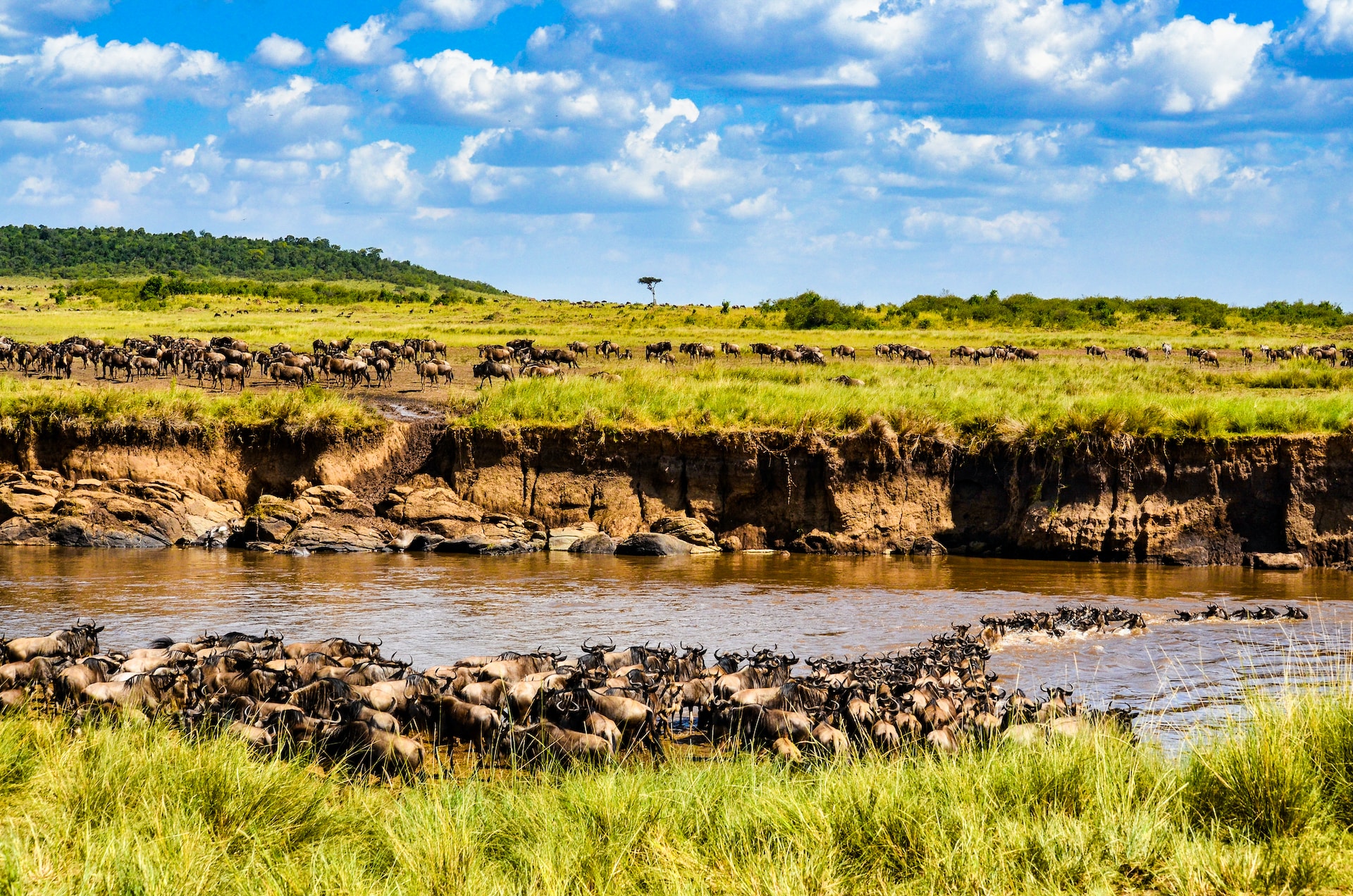 What to see and do in kenya