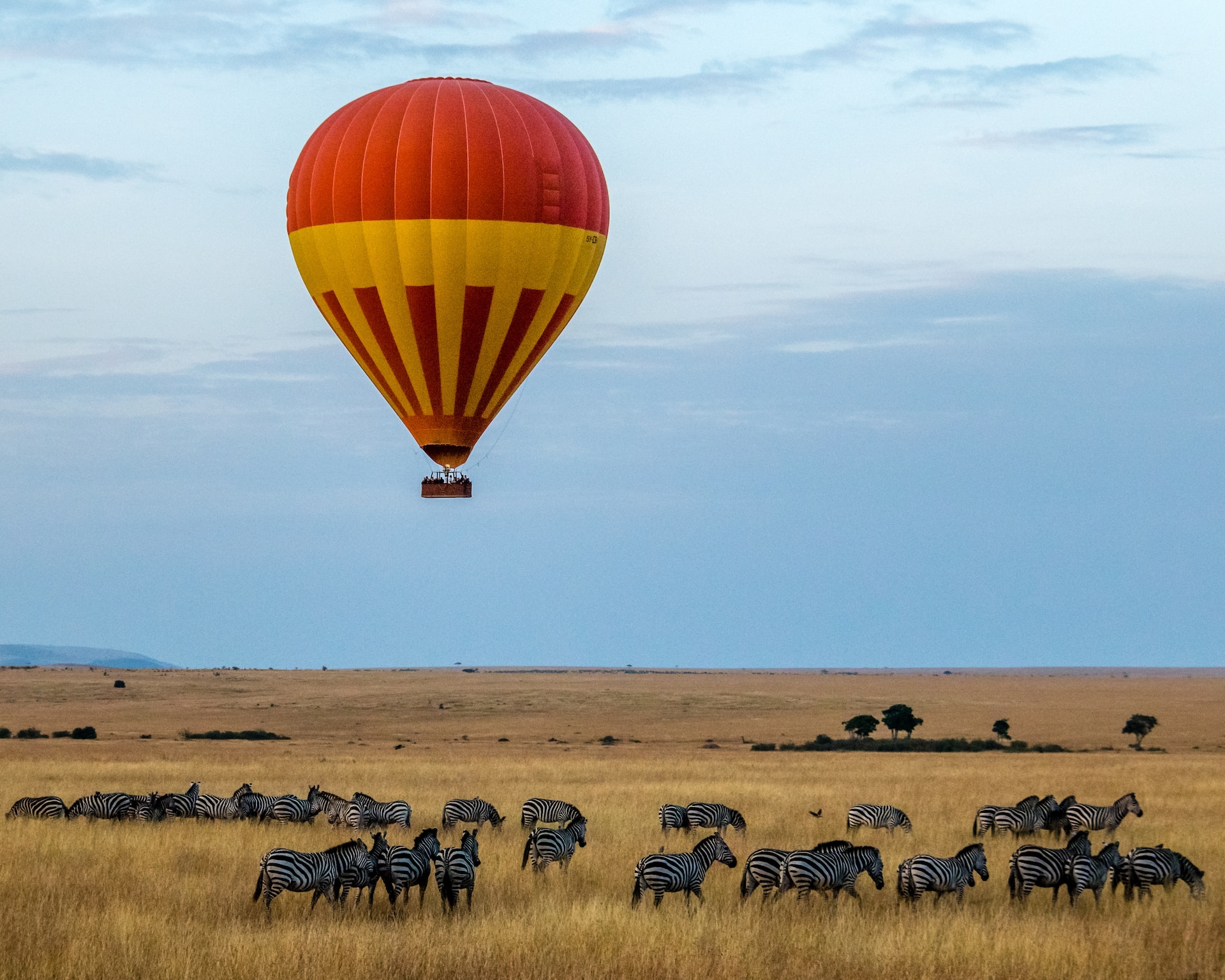 14 Days/13 Nights of Kenya Safari