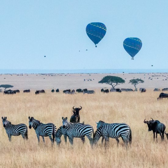 10 Days Kenya Safari and Beach