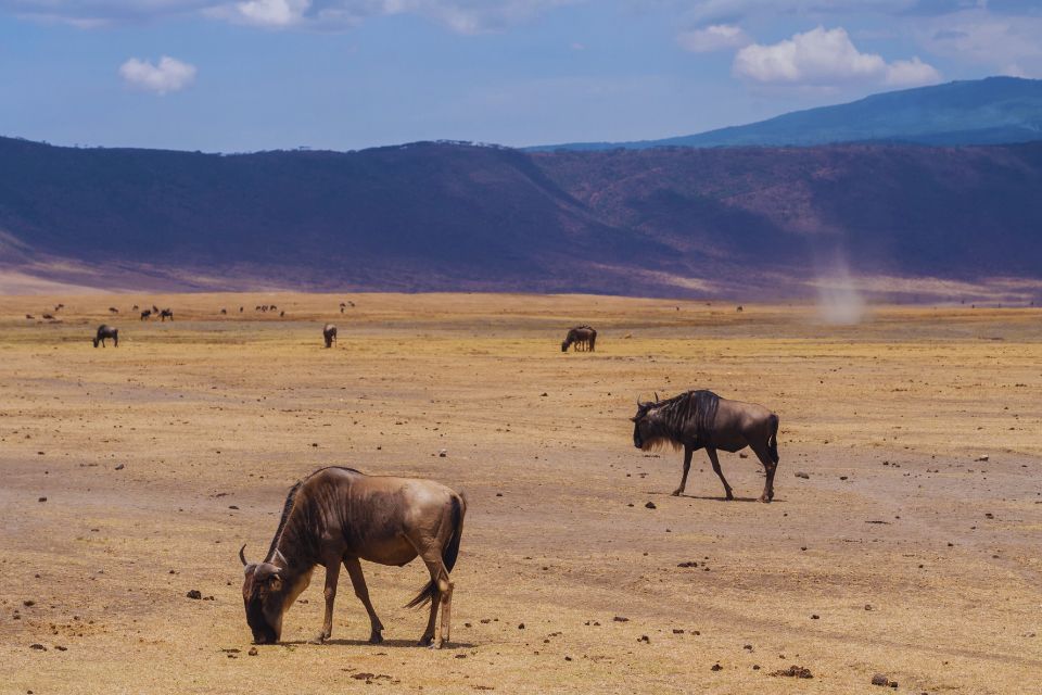 10 Days Serengeti, Ngorongoro & Zanzibar