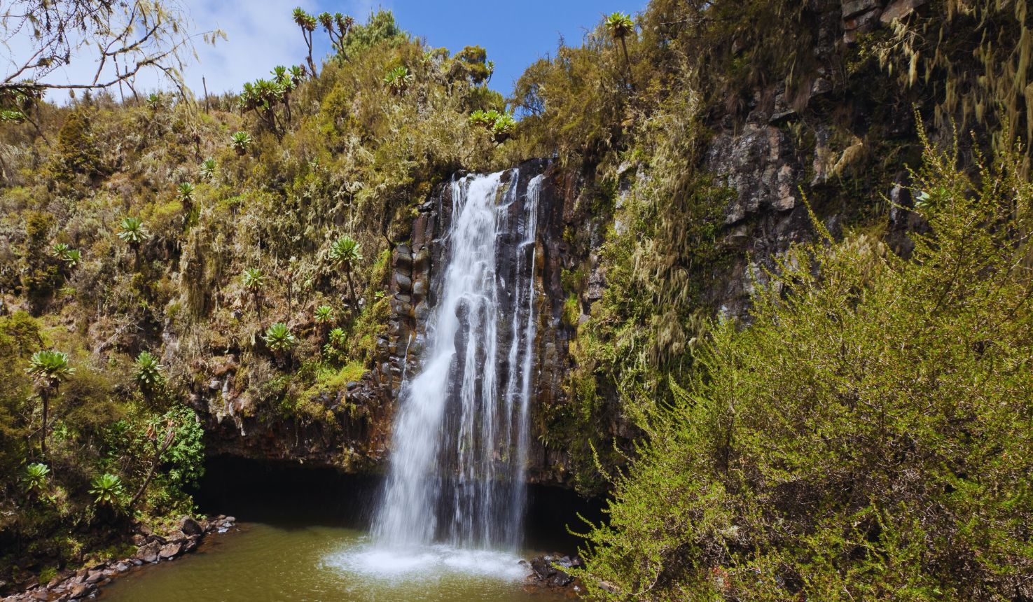 Aberdare National Park