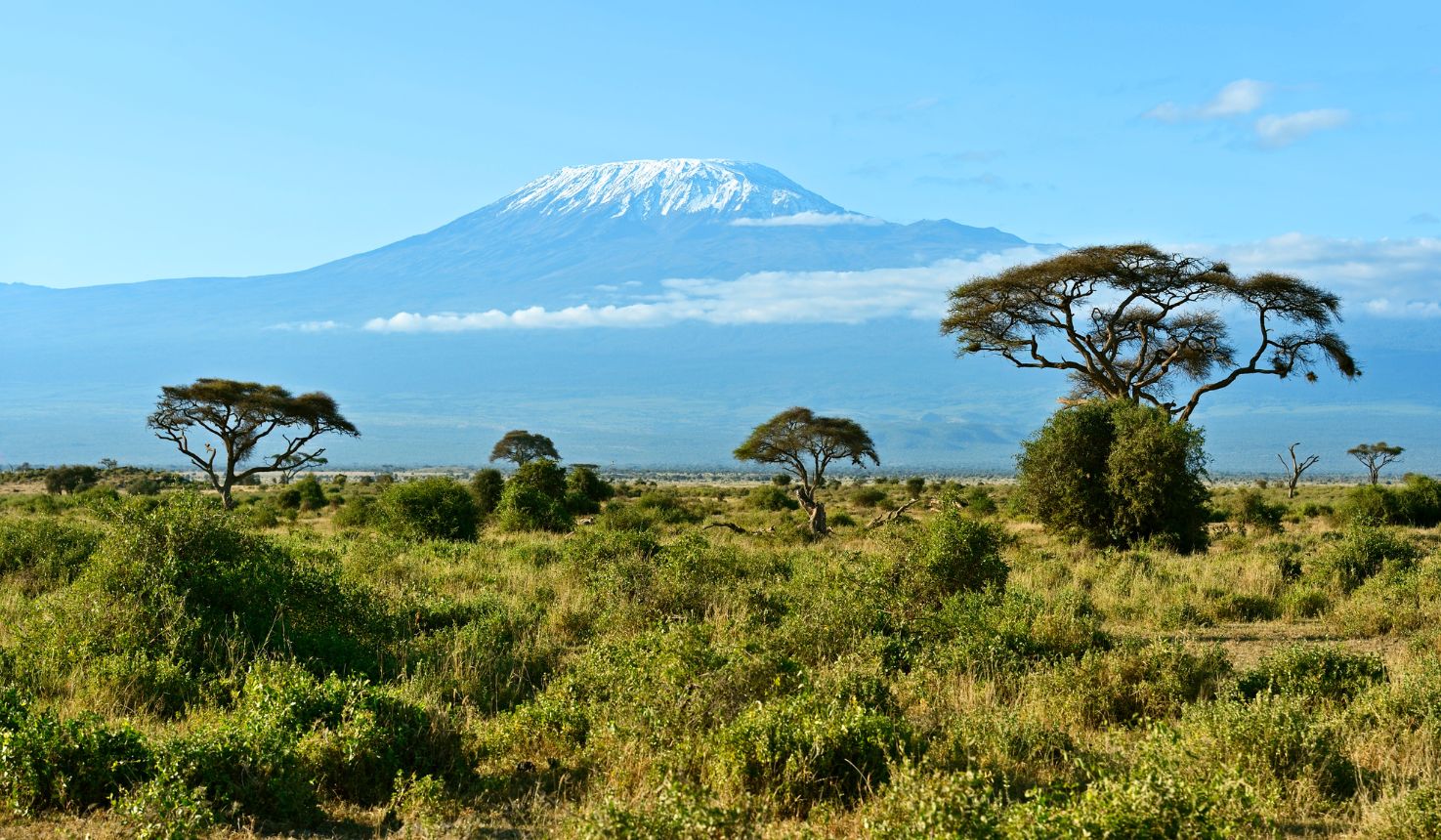 Amboseli National Park