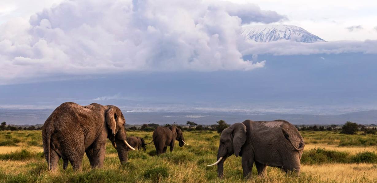 Amboseli National Park