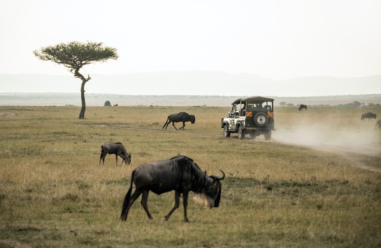 Masai Mara Blog