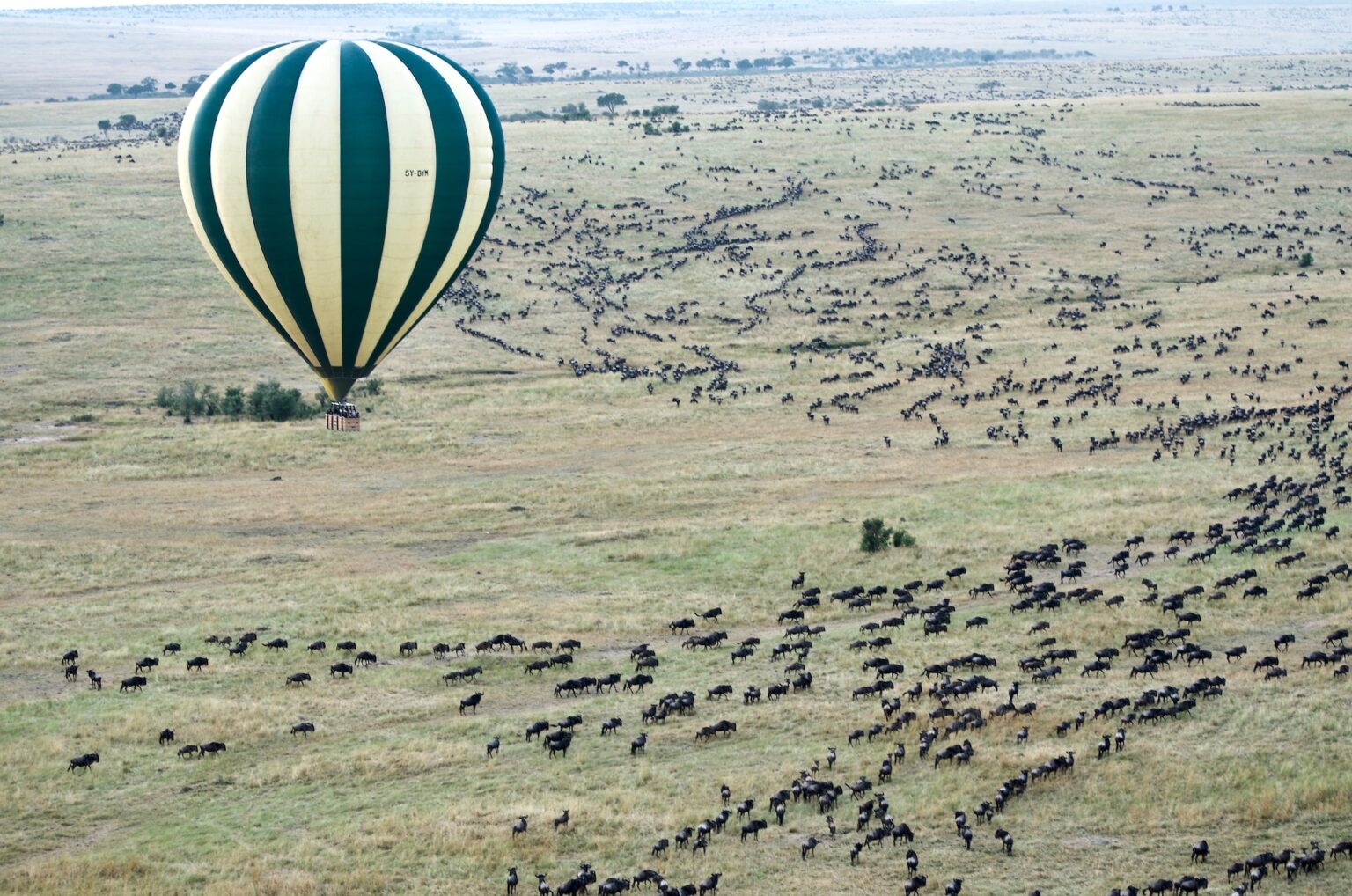 Unveiling the Mysteries of the Maasai Mara