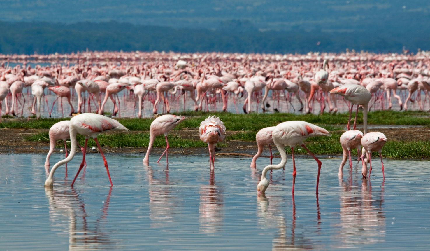 Lake Nakuru National Park