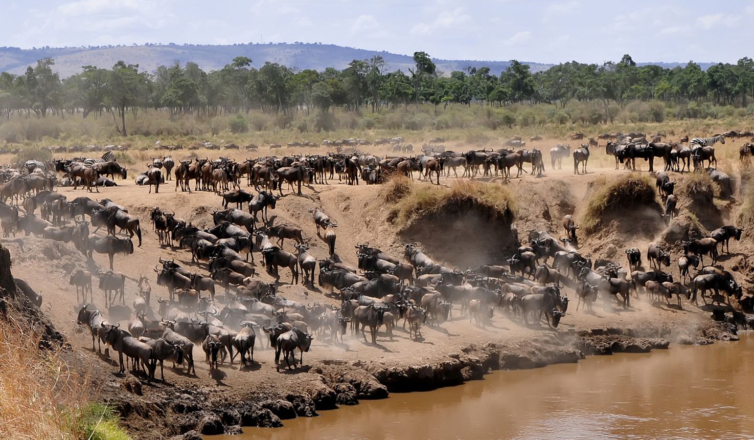 Beyond the Big Five: Exploring Hidden Gems and Unique Wildlife Encounters in Kenya