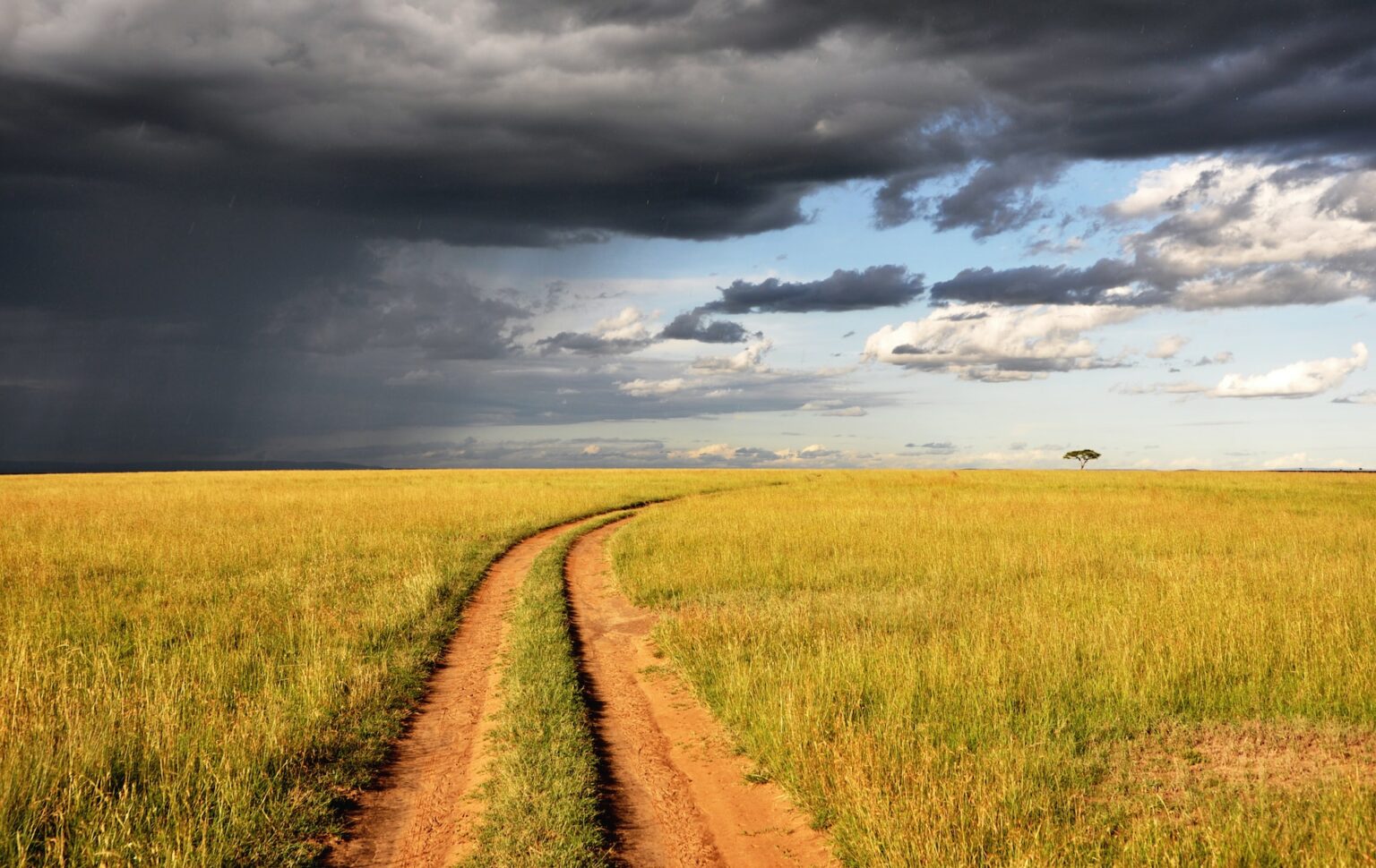 Exploring Kenya’s Diverse Weather